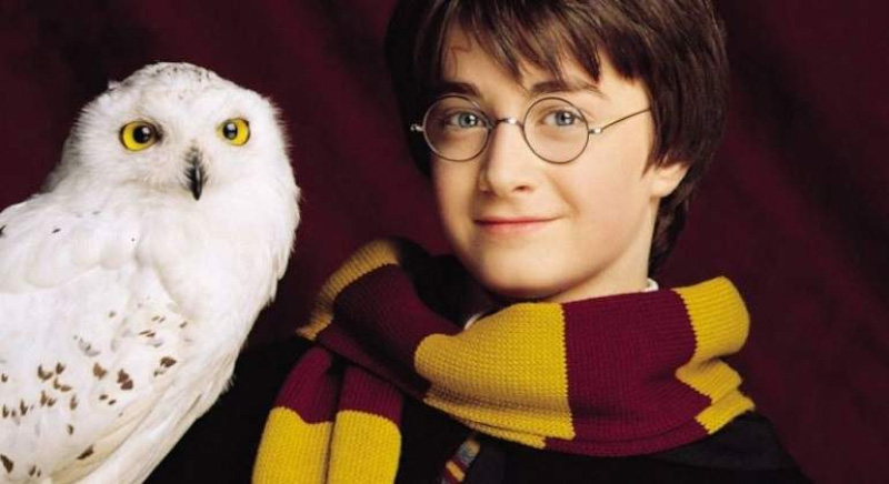 La lechuza Hedwig junto a Harry Potter